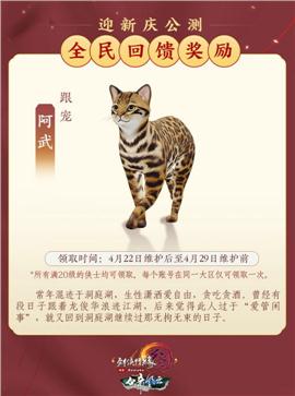 天龙八部私服  豪门真情